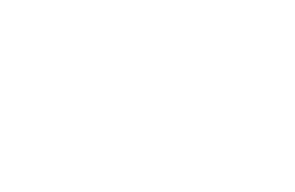 IDK Professionals
